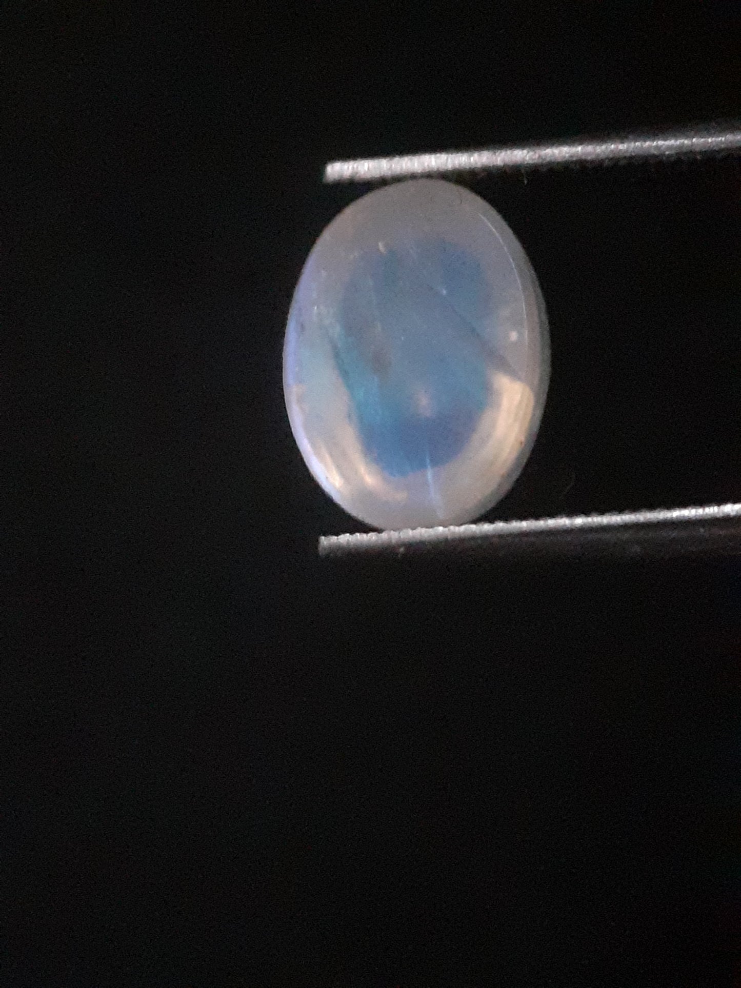 Natural Moonstone - light blue and blue adularescence - 2.099 ct - oval cabochon - Natural Gems Belgium