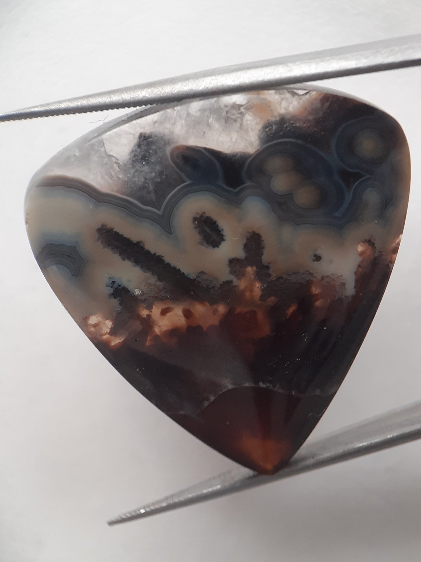 Natural blue and brown Agate - 37.078 ct - pear - rare sumatra palm root agate - Natural Gems Belgium