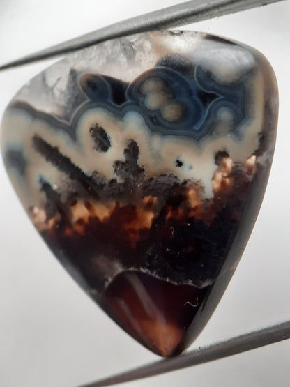 Natural blue and brown Agate - 37.078 ct - pear - rare sumatra palm root agate - Natural Gems Belgium