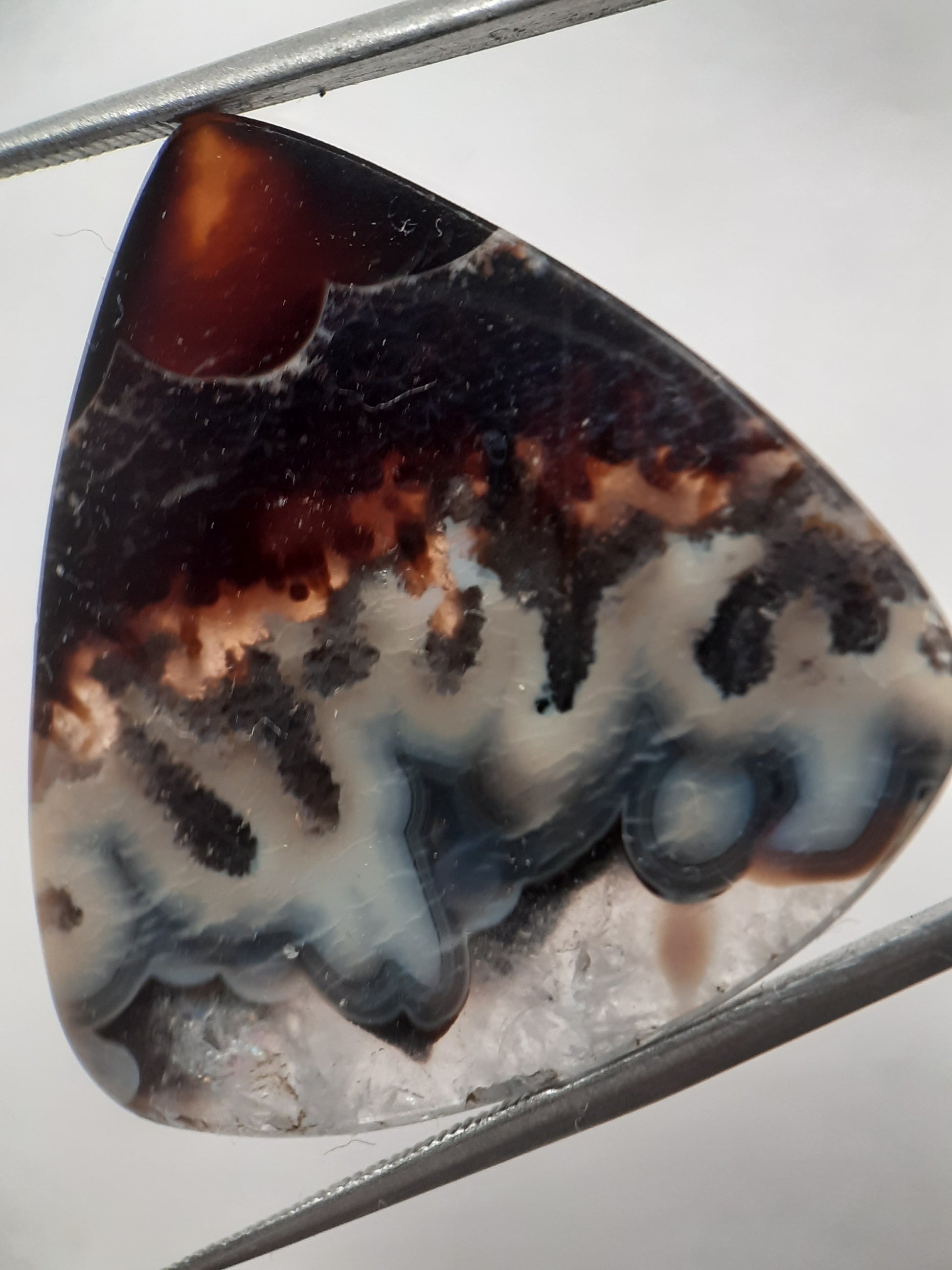 Natural blue and brown Agate - 37.078 ct - pear - rare sumatra palm root agate - Natural Gems Belgium