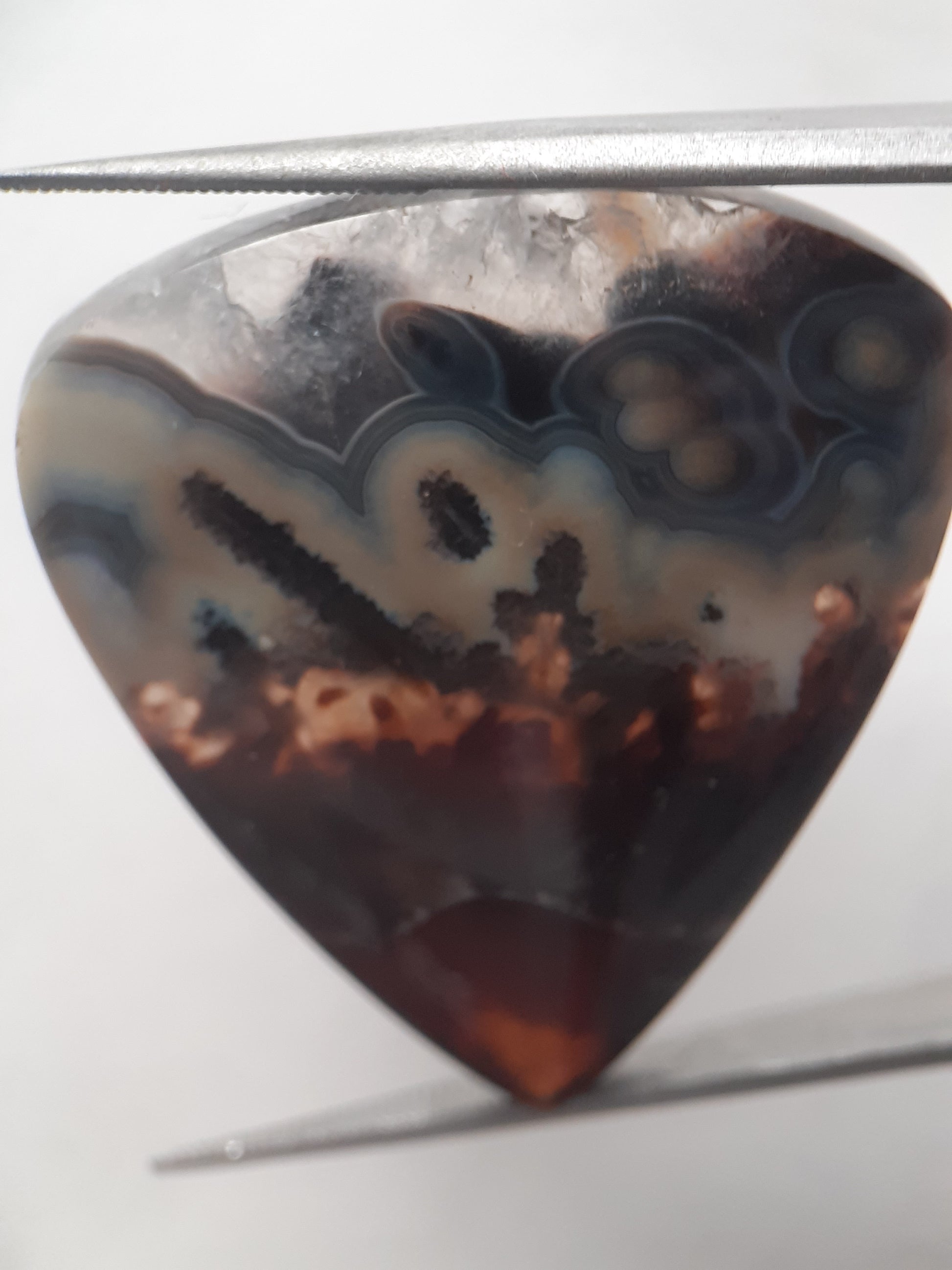 Natural blue and brown Agate - 37.078 ct - pear - rare sumatra palm root agate - Natural Gems Belgium