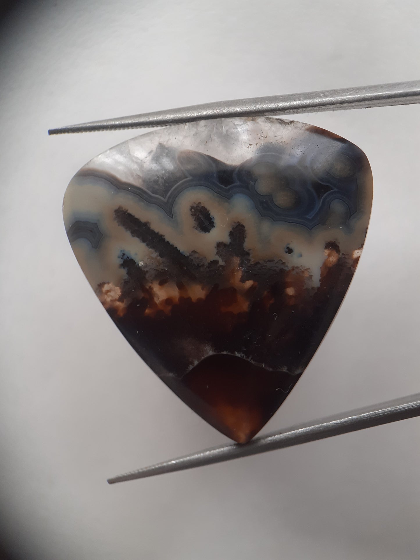 Natural blue and brown Agate - 37.078 ct - pear - rare sumatra palm root agate - Natural Gems Belgium