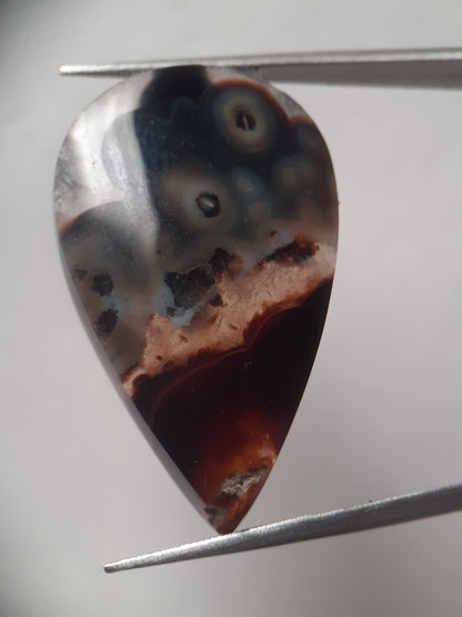 Natural grey and brown Agate - 24.420 ct - pear - rare sumatra palm root agate - Natural Gems Belgium