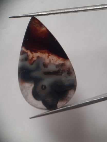 Natural grey and brown Agate - 24.420 ct - pear - rare sumatra palm root agate - Natural Gems Belgium