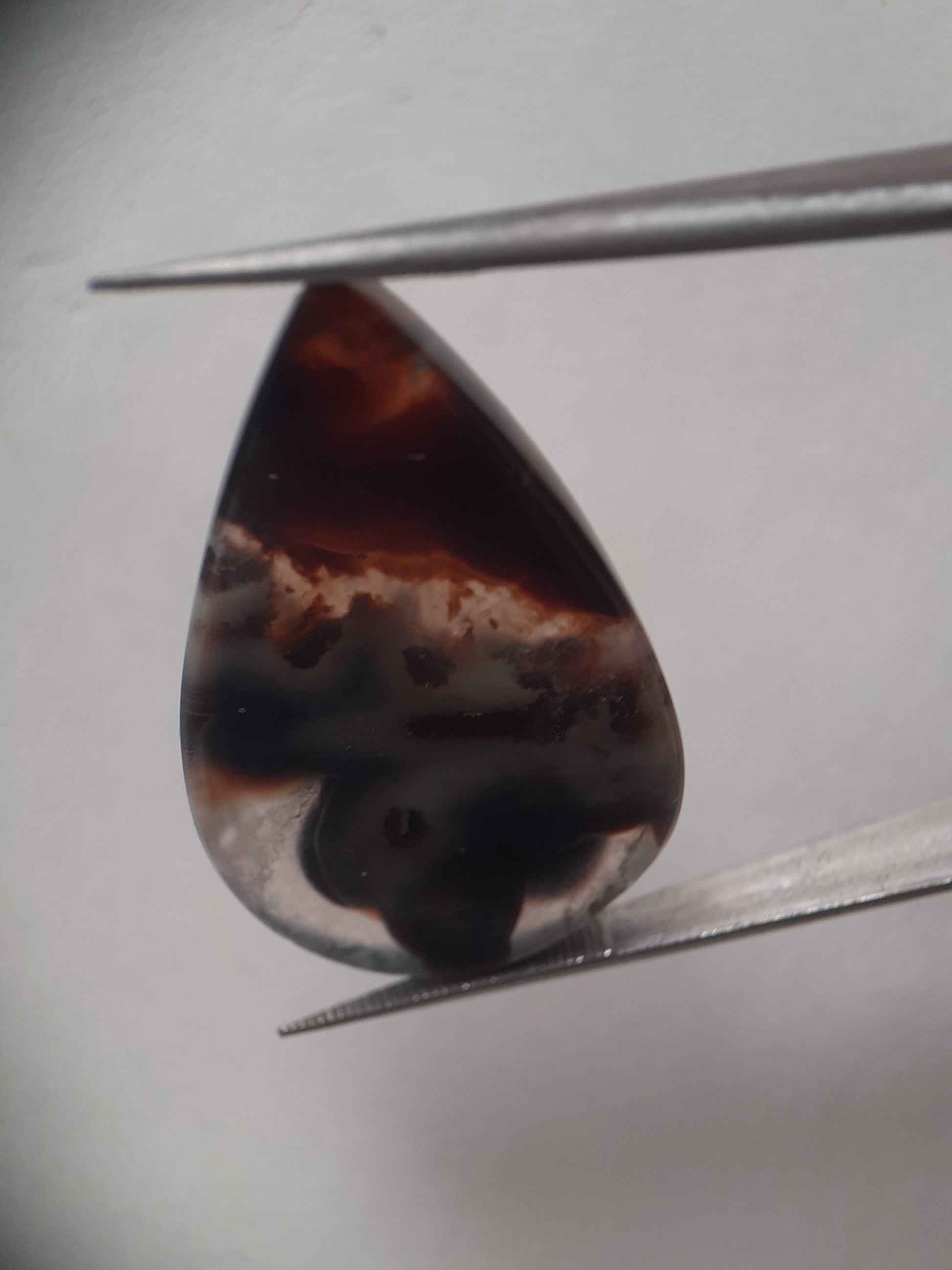 Natural grey and brown Agate - 24.420 ct - pear - rare sumatra palm root agate - Natural Gems Belgium