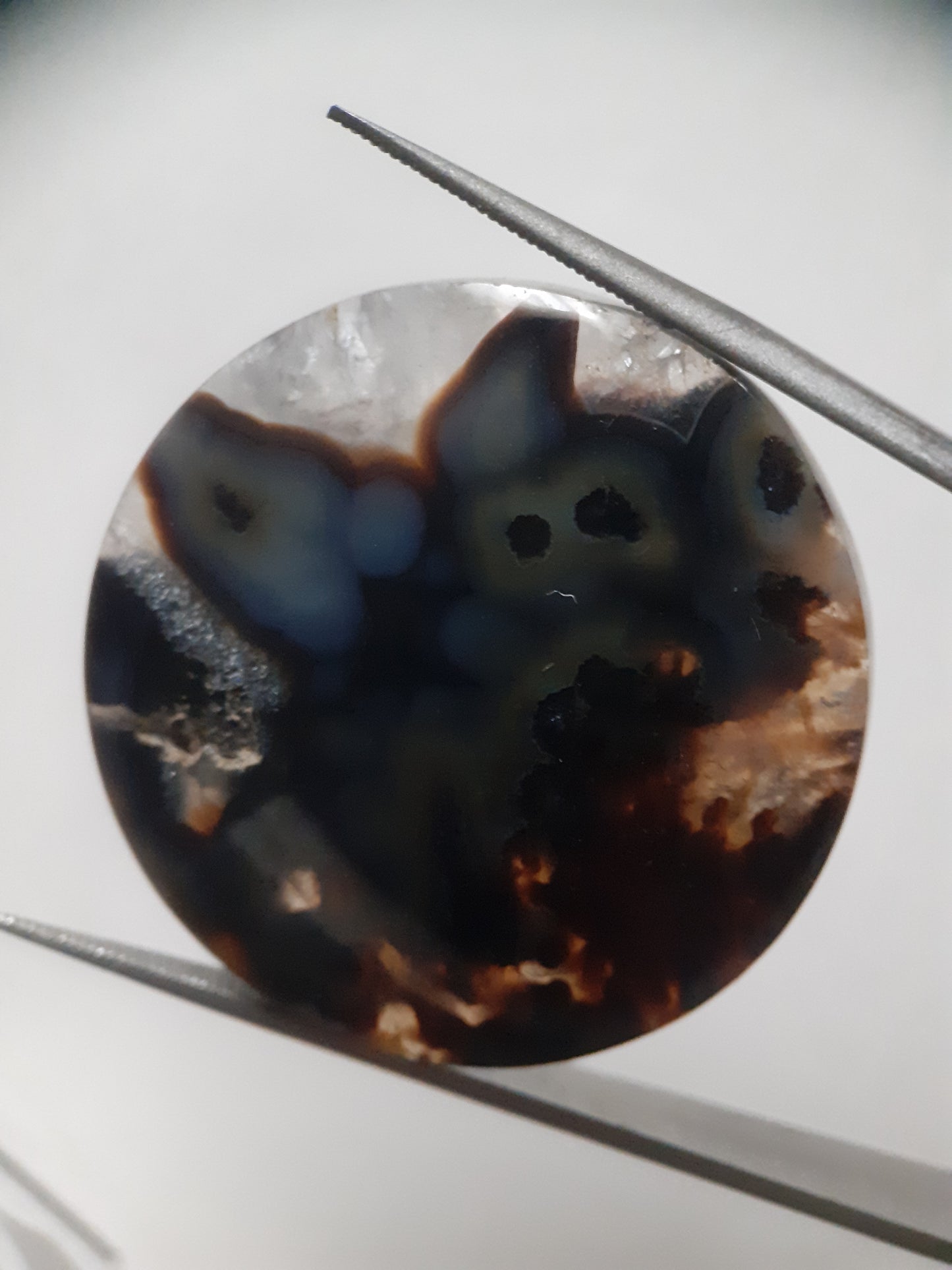 Natural blue and brown Agate - 41.360 ct - round - rare sumatra palm root agate - Natural Gems Belgium