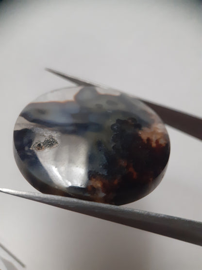 Natural blue and brown Agate - 41.360 ct - round - rare sumatra palm root agate - Natural Gems Belgium