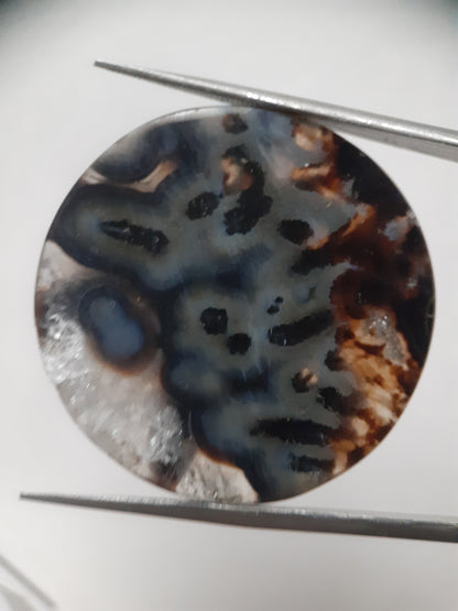 Natural blue and brown Agate - 41.360 ct - round - rare sumatra palm root agate - Natural Gems Belgium