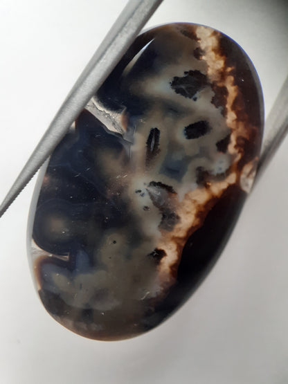 Natural blue and brown Agate - 41.153 ct - oval - rare sumatra palm root agate - Natural Gems Belgium