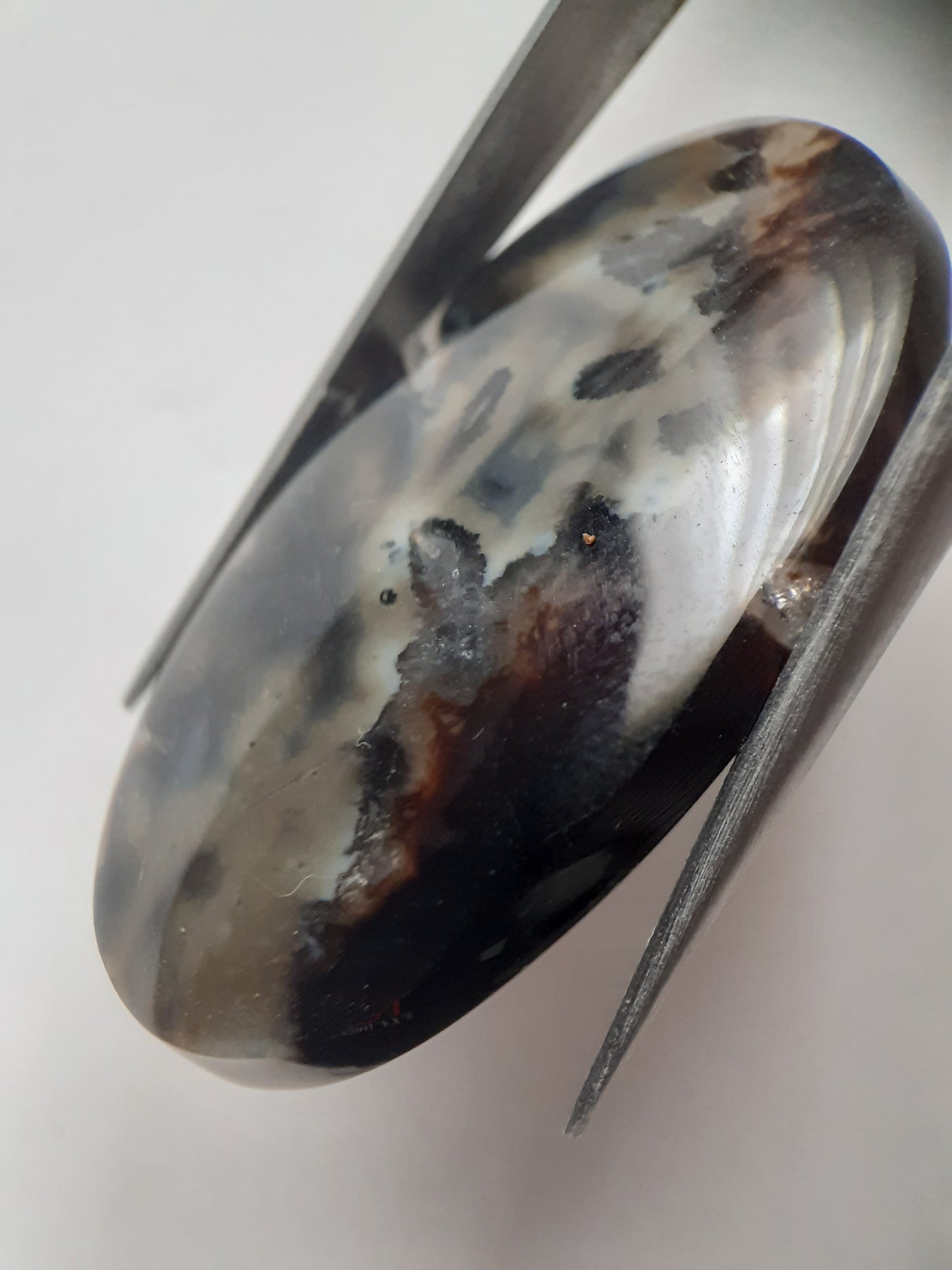 Natural blue and brown Agate - 41.153 ct - oval - rare sumatra palm root agate - Natural Gems Belgium