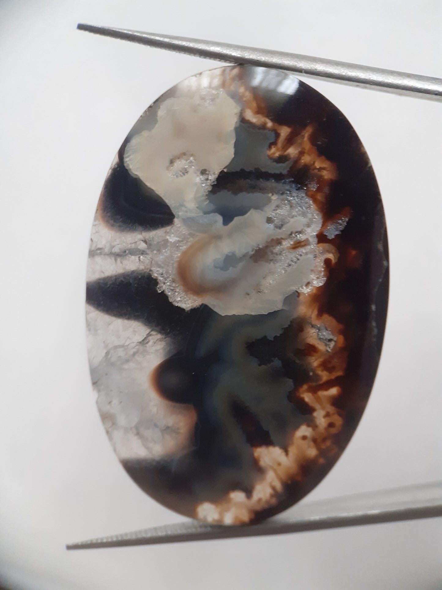 Natural blue and brown Agate - 42.124 ct - oval - rare sumatra palm root agate - Natural Gems Belgium