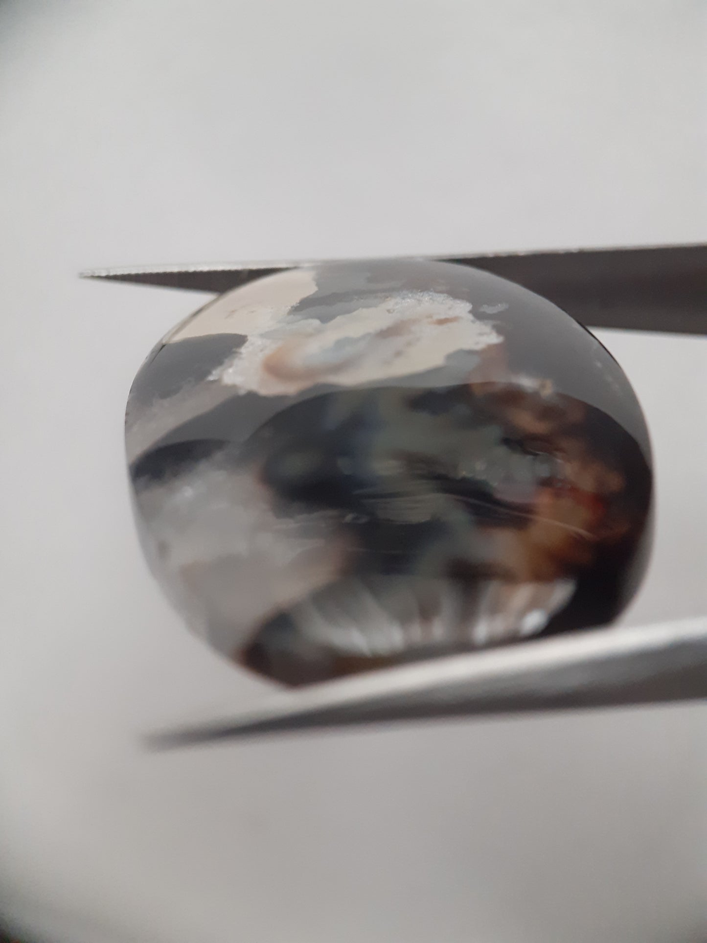 Natural blue and brown Agate - 42.124 ct - oval - rare sumatra palm root agate - Natural Gems Belgium