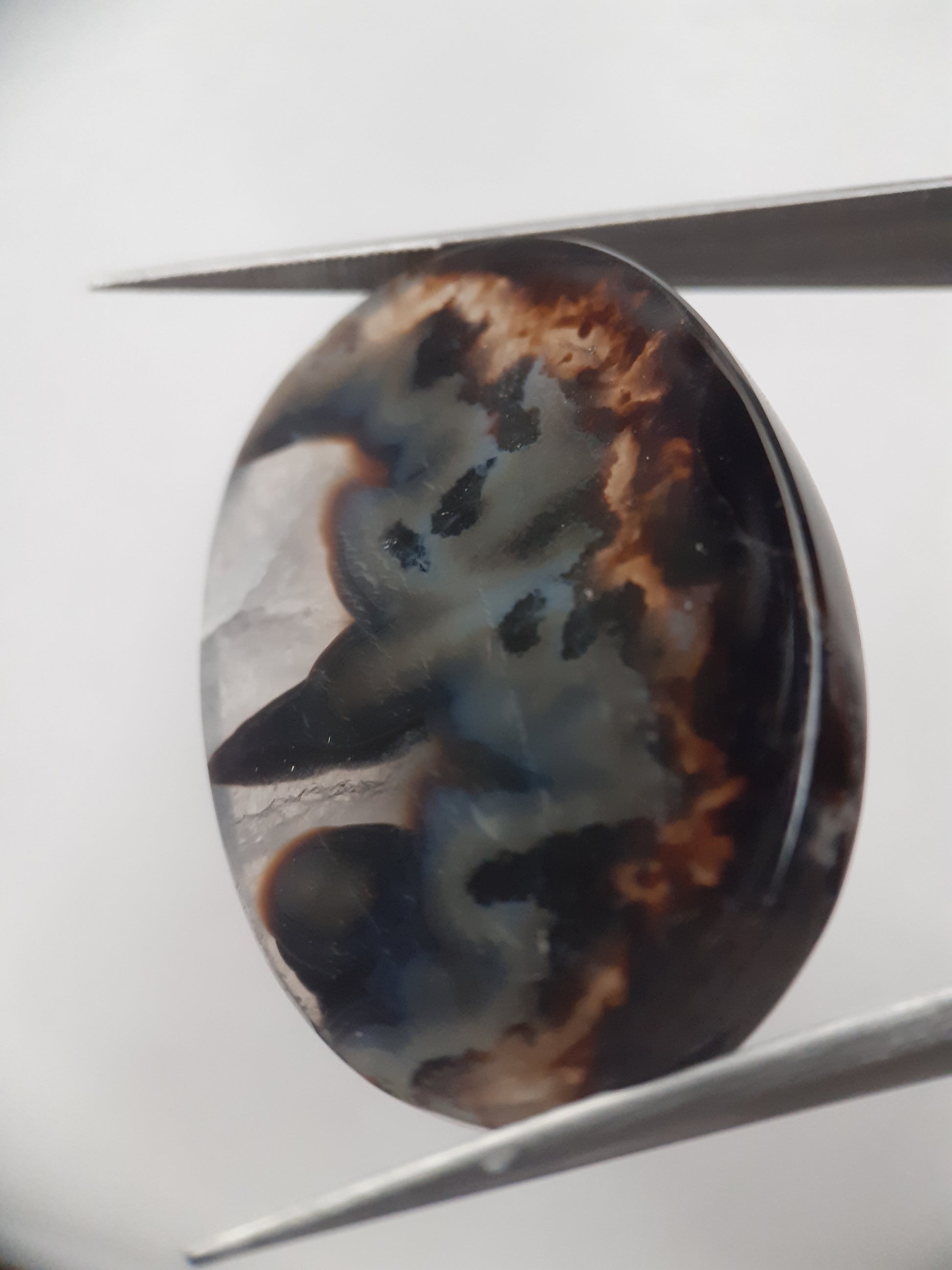 Natural blue and brown Agate - 42.124 ct - oval - rare sumatra palm root agate - Natural Gems Belgium