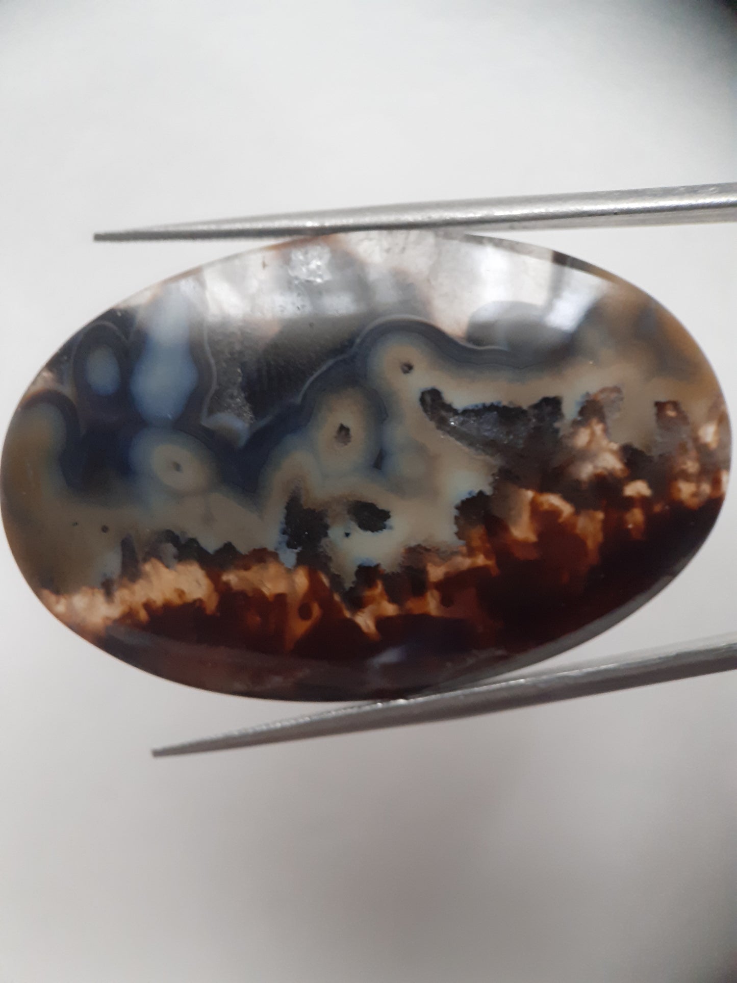 Natural blue and brown Agate - 45.244 ct - oval - rare sumatra palm root agate - Natural Gems Belgium