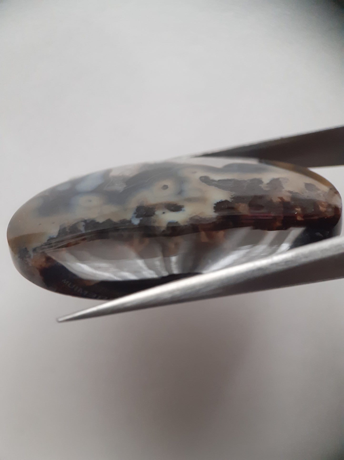 Natural blue and brown Agate - 45.244 ct - oval - rare sumatra palm root agate - Natural Gems Belgium