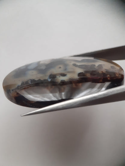 Natural blue and brown Agate - 45.244 ct - oval - rare sumatra palm root agate - Natural Gems Belgium