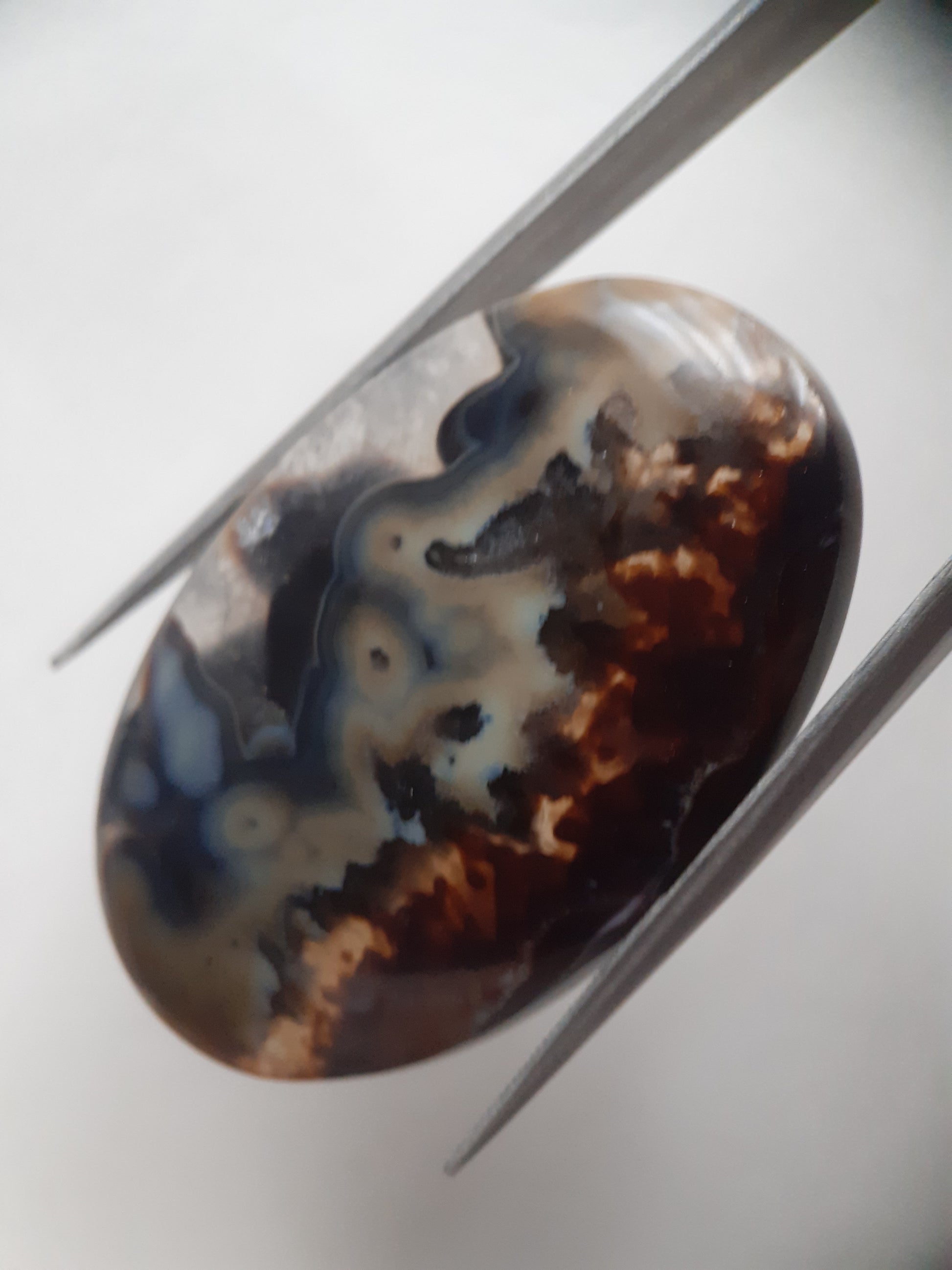 Natural blue and brown Agate - 45.244 ct - oval - rare sumatra palm root agate - Natural Gems Belgium