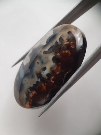 Natural blue and brown Agate - 45.244 ct - oval - rare sumatra palm root agate - Natural Gems Belgium