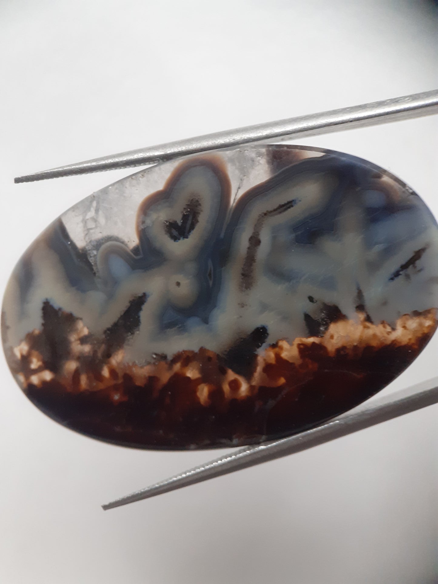 Natural blue and brown Agate - 45.244 ct - oval - rare sumatra palm root agate - Natural Gems Belgium