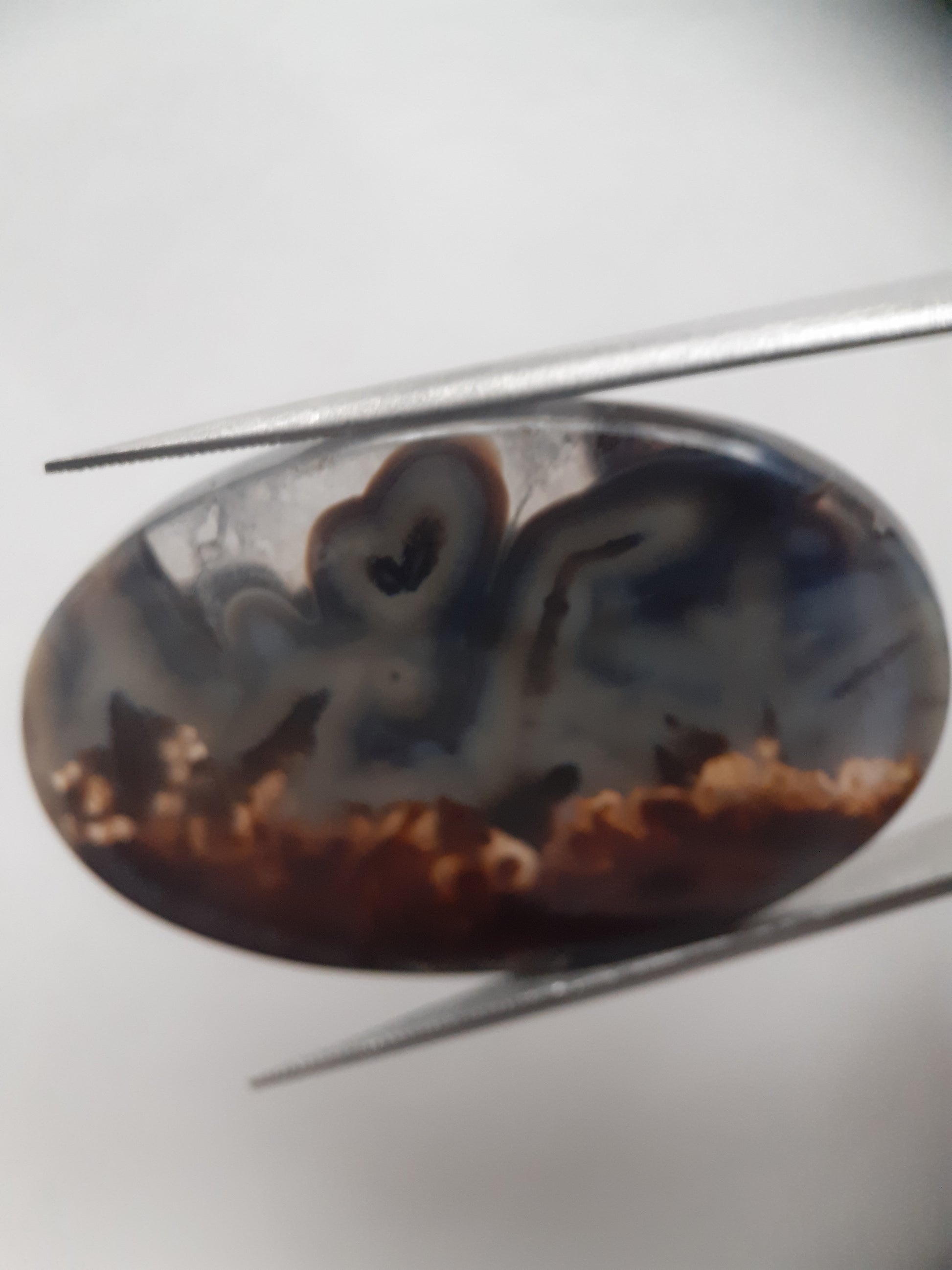 Natural blue and brown Agate - 45.244 ct - oval - rare sumatra palm root agate - Natural Gems Belgium