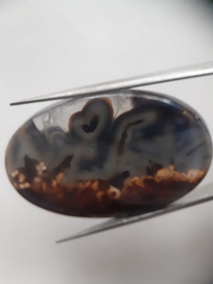 Natural blue and brown Agate - 45.244 ct - oval - rare sumatra palm root agate - Natural Gems Belgium