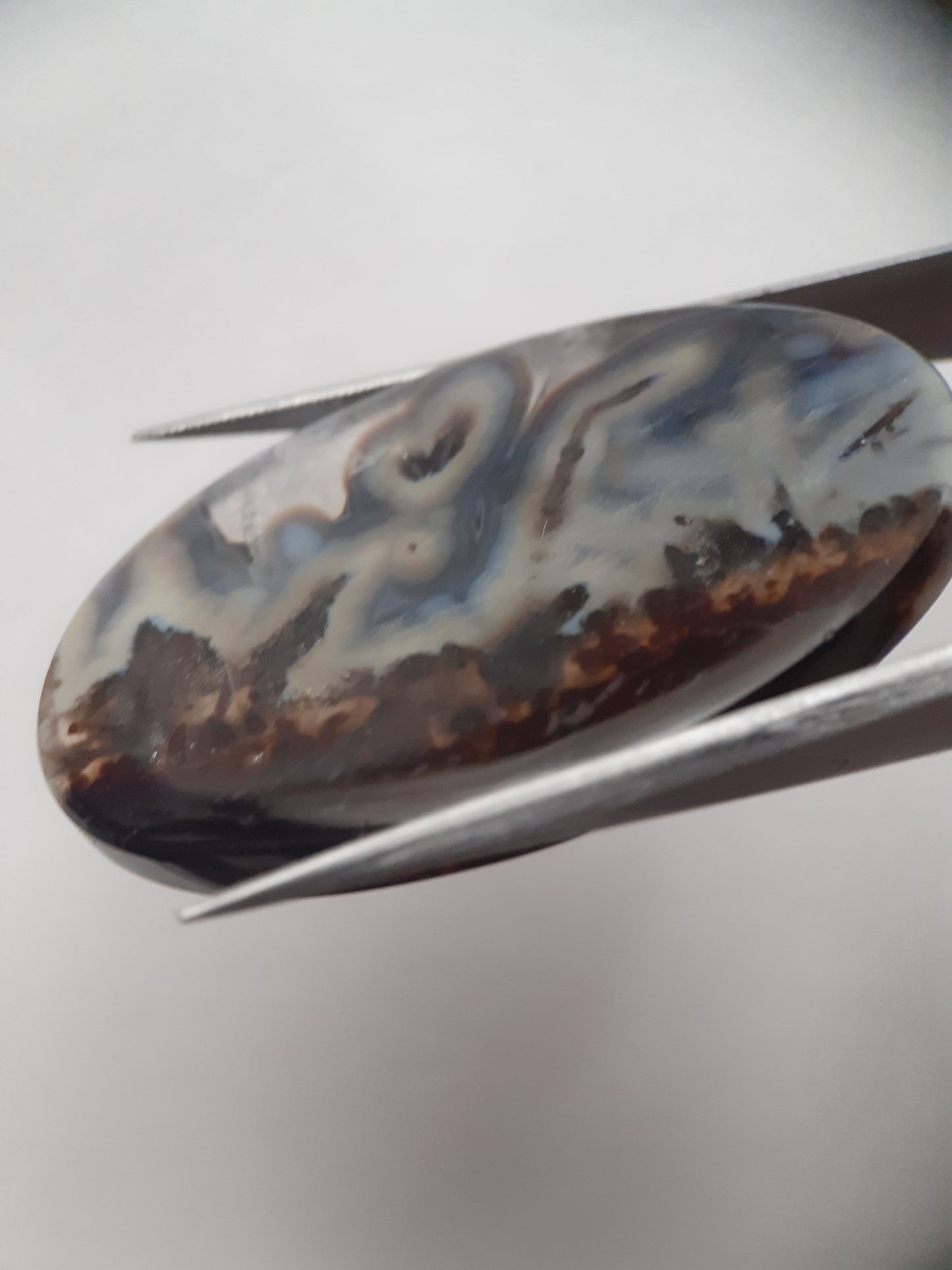 Natural blue and brown Agate - 45.244 ct - oval - rare sumatra palm root agate - Natural Gems Belgium