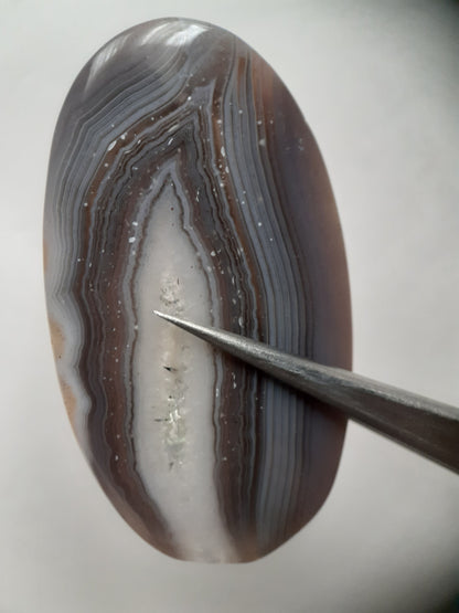 Natural grey Botswana Agate - 43.183 ct - long oval Cabochon - certified natural - Natural Gems Belgium