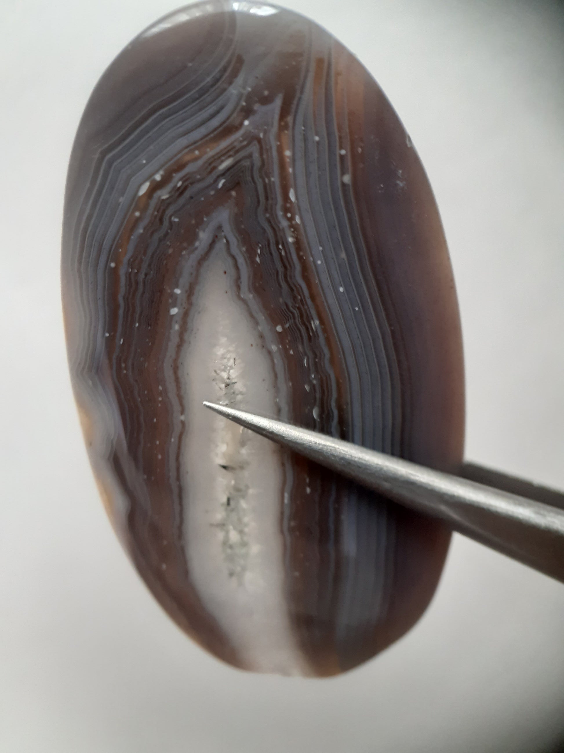 Natural grey Botswana Agate - 43.183 ct - long oval Cabochon - certified natural - Natural Gems Belgium