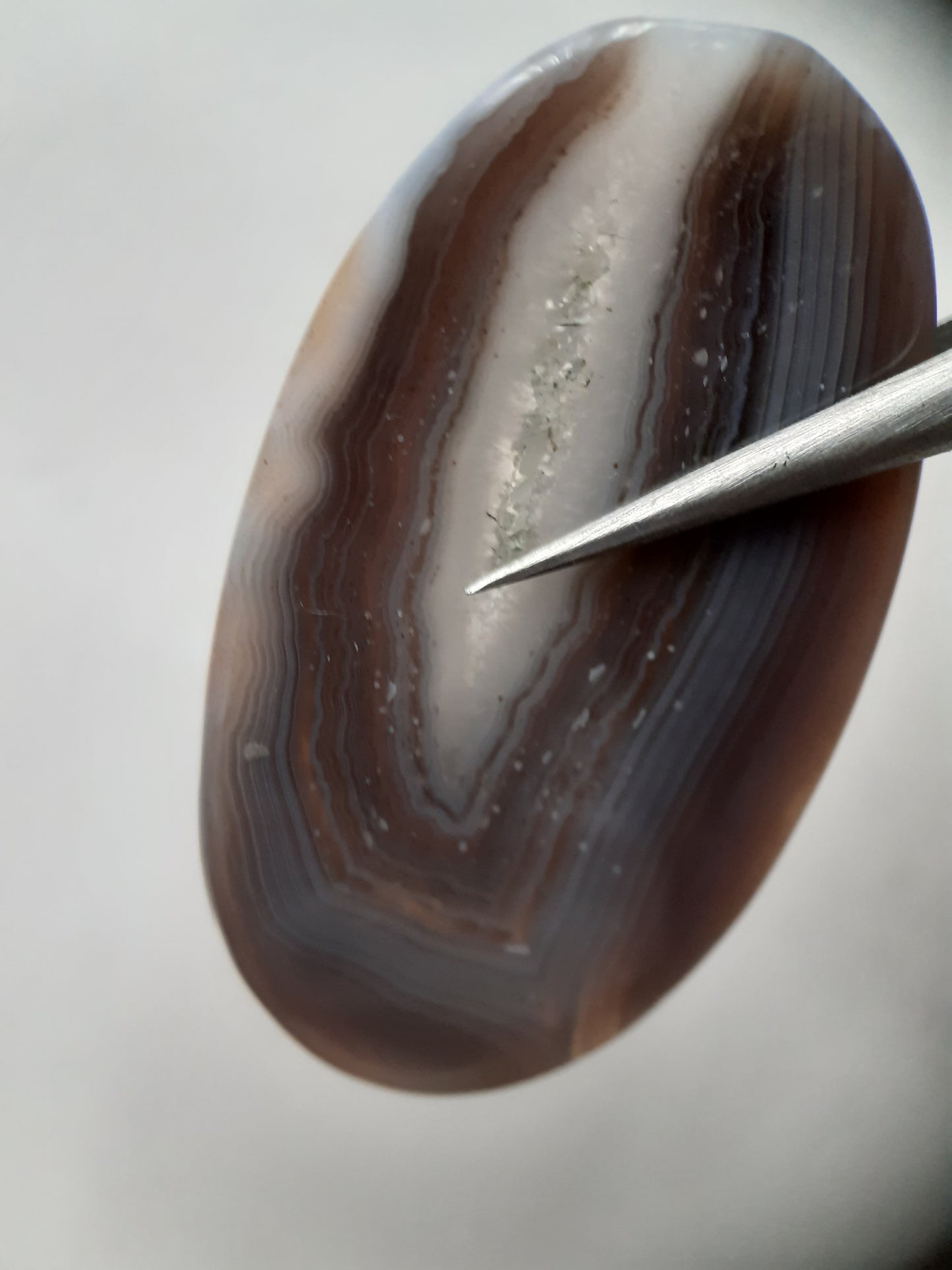 Natural grey Botswana Agate - 43.183 ct - long oval Cabochon - certified natural - Natural Gems Belgium