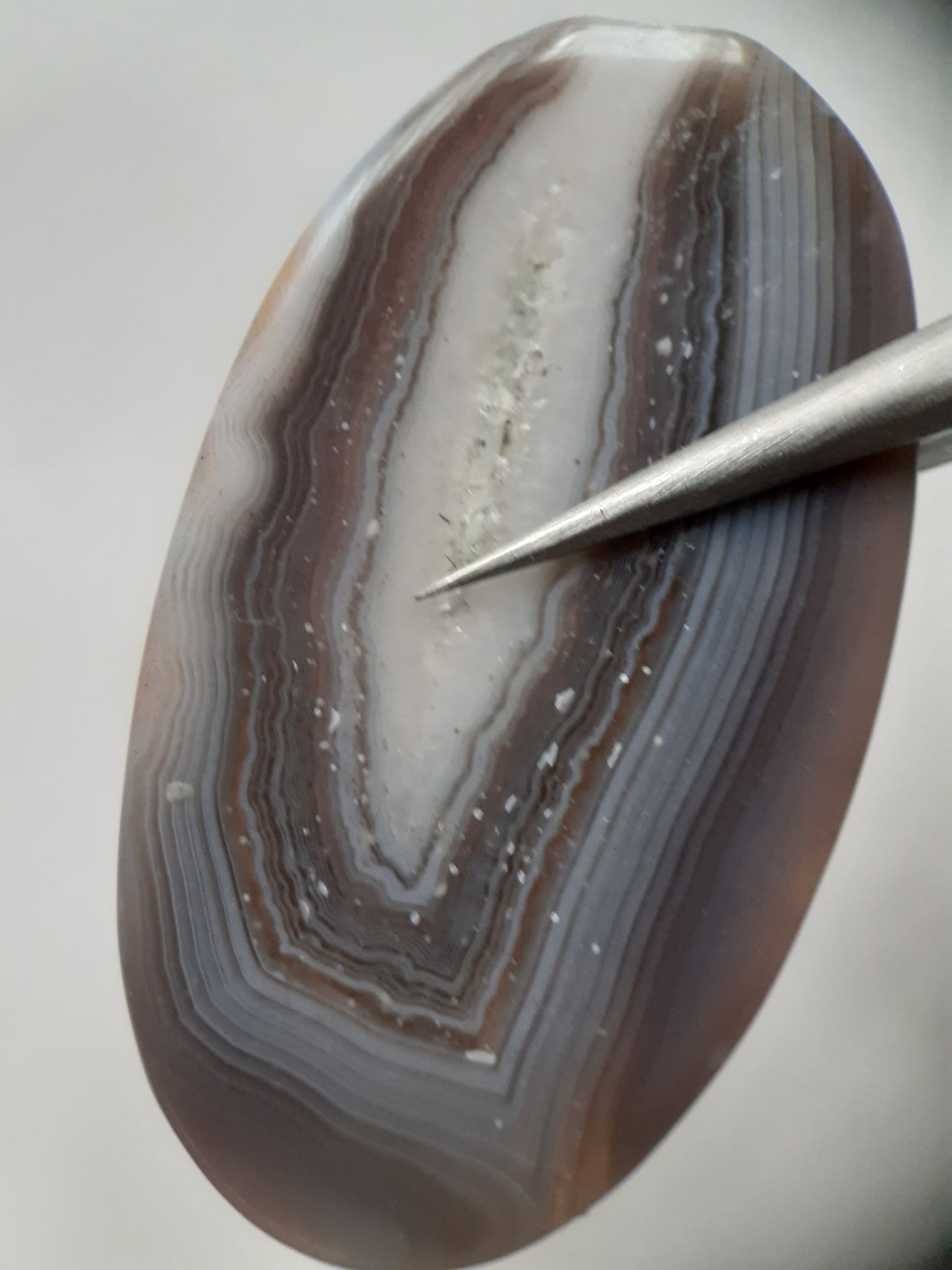 Natural grey Botswana Agate - 43.183 ct - long oval Cabochon - certified natural - Natural Gems Belgium