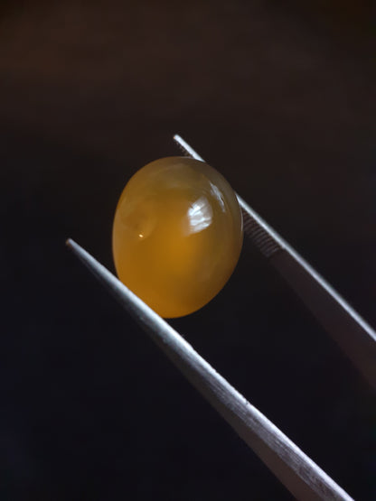 Natural Yellow Opal of 6.739 ct in oval cabochon from ethiopia - untreated