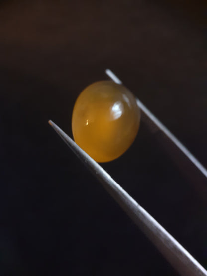 Natural Yellow Opal of 6.739 ct in oval cabochon from ethiopia - untreated