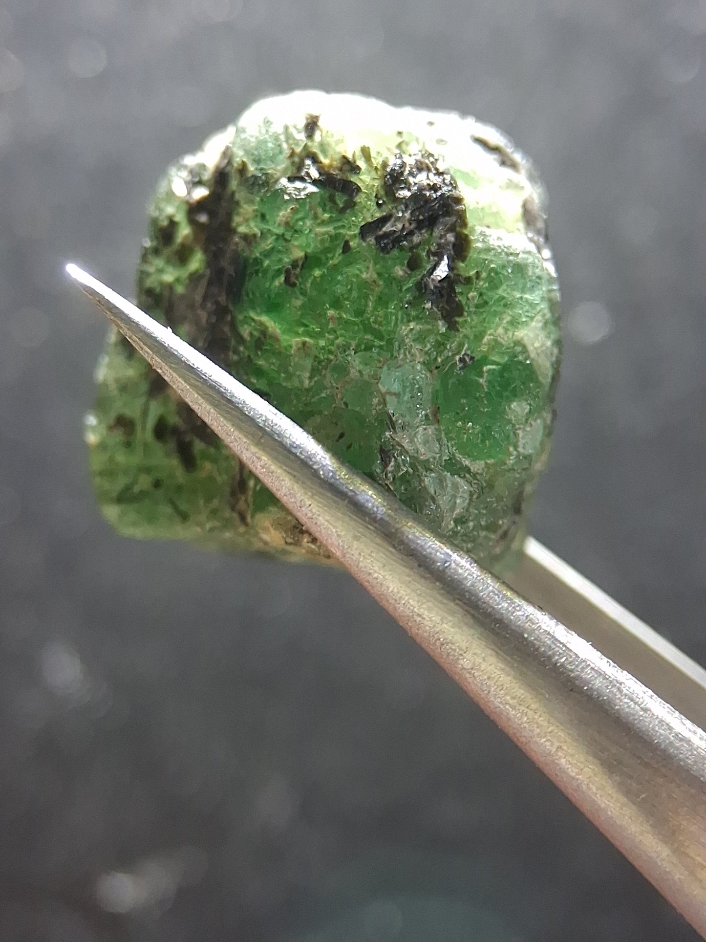 Rough Emerald - 15.870 ct - green rough emerald crystal - Natural Gems Belgium