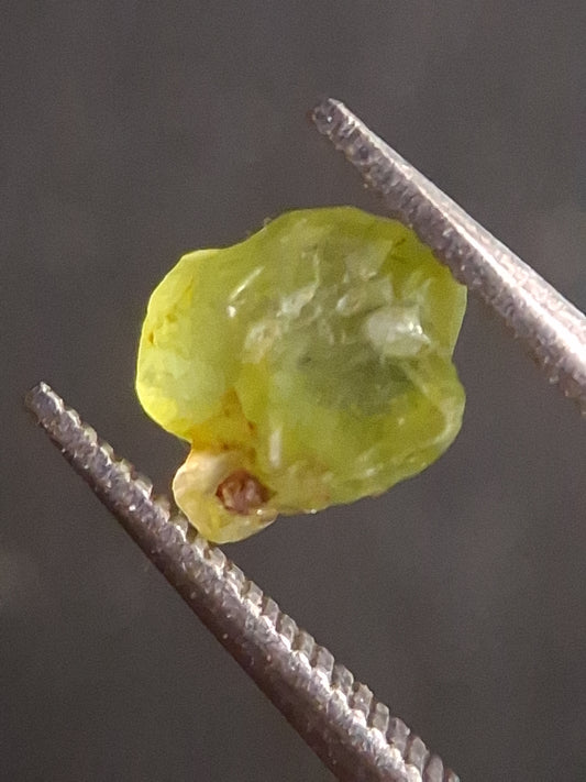 Natural Green Peridot - 0.803 ct - rough gemstone for faceting or rough gemstone jewelry - Natural Gems Belgium