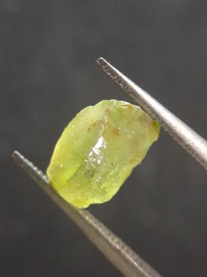Natural Green Peridot - 1.459 ct - rough gemstone for faceting or rough gemstone jewelry - Natural Gems Belgium