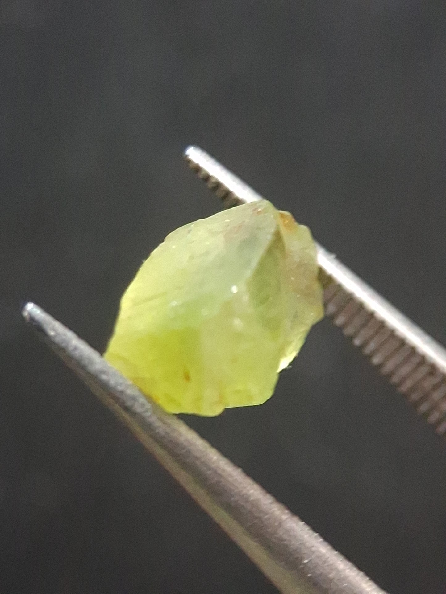 Natural Green Peridot - 1.459 ct - rough gemstone for faceting or rough gemstone jewelry - Natural Gems Belgium