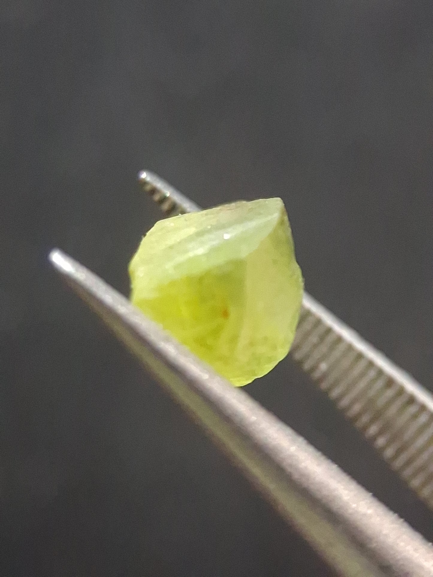 Natural Green Peridot - 1.459 ct - rough gemstone for faceting or rough gemstone jewelry - Natural Gems Belgium