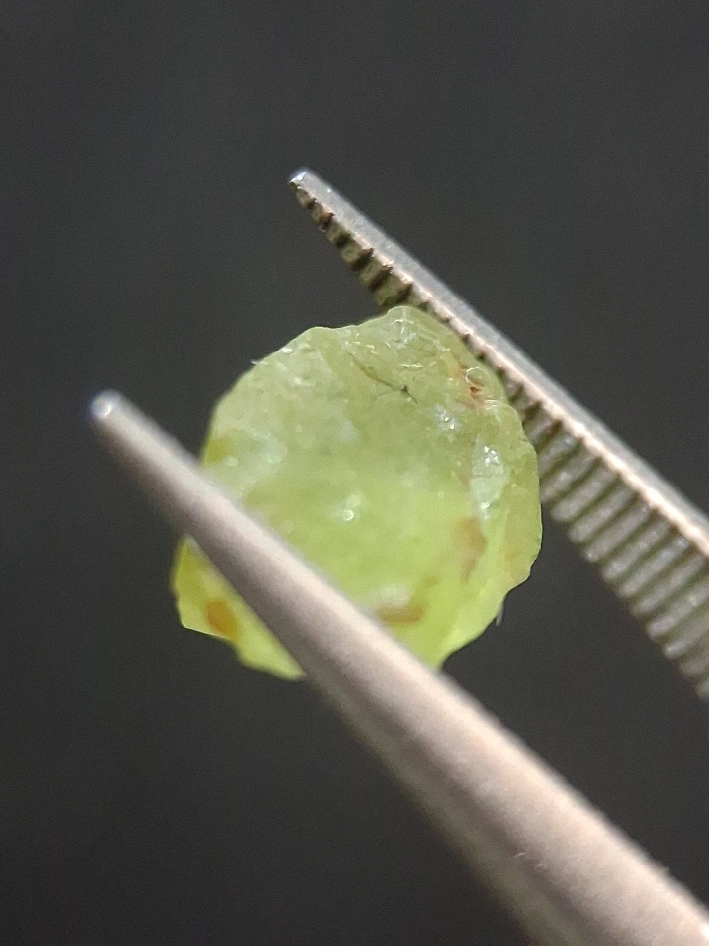 Natural Green Peridot - 1.459 ct - rough gemstone for faceting or rough gemstone jewelry - Natural Gems Belgium