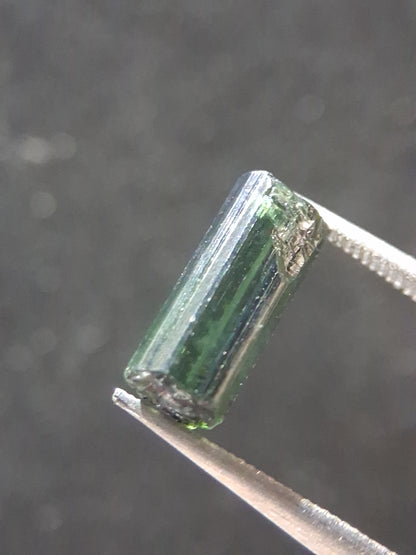 Rough tourmaline - for faceting or rough gemstone jewelry - 1.585 ct - green verdelite - Natural Gems Belgium