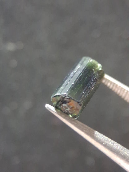 Rough tourmaline - for faceting or rough gemstone jewelry - 1.585 ct - green verdelite - Natural Gems Belgium