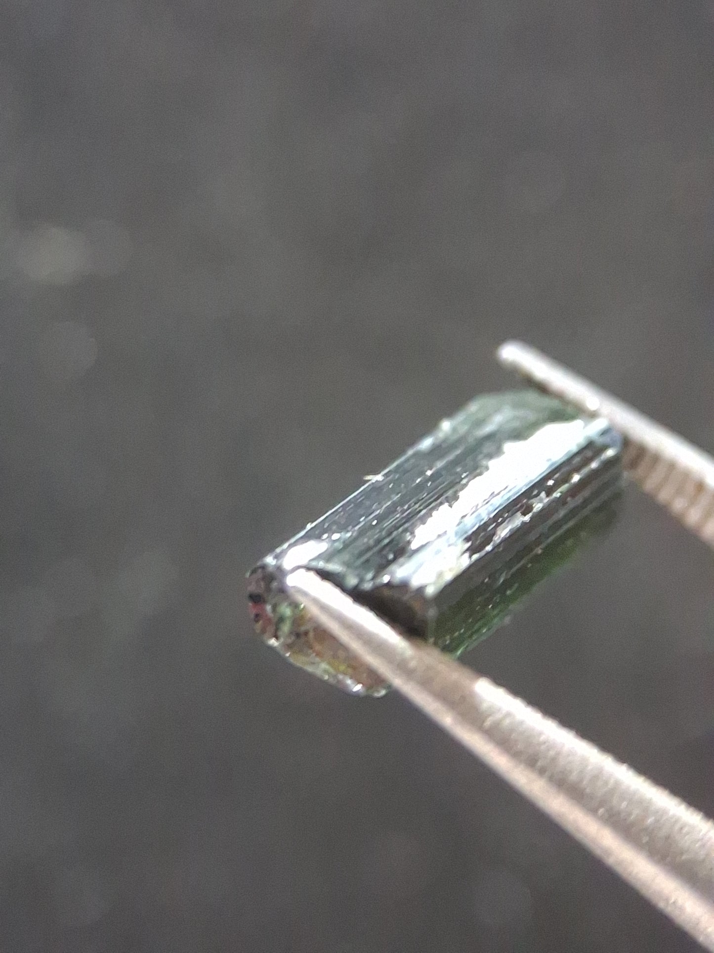 Rough tourmaline - for faceting or rough gemstone jewelry - 1.585 ct - green verdelite - Natural Gems Belgium