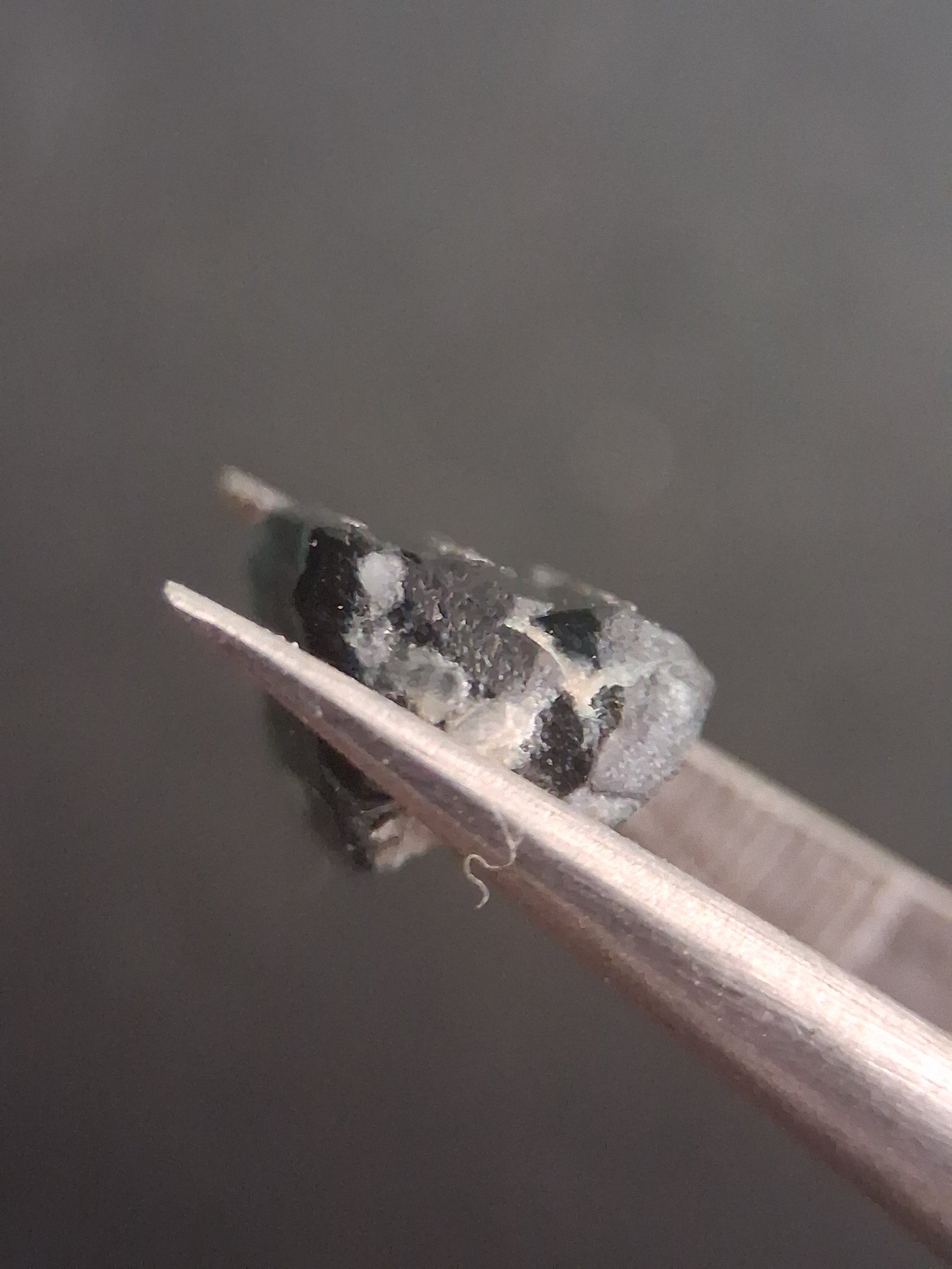 Rough tourmaline - for faceting or rough gemstone jewelry - 2.801 ct - deep green to bluish green - Natural Gems Belgium