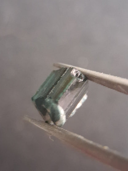 Rough tourmaline - for faceting or rough gemstone jewelry - 2.801 ct - deep green to bluish green - Natural Gems Belgium