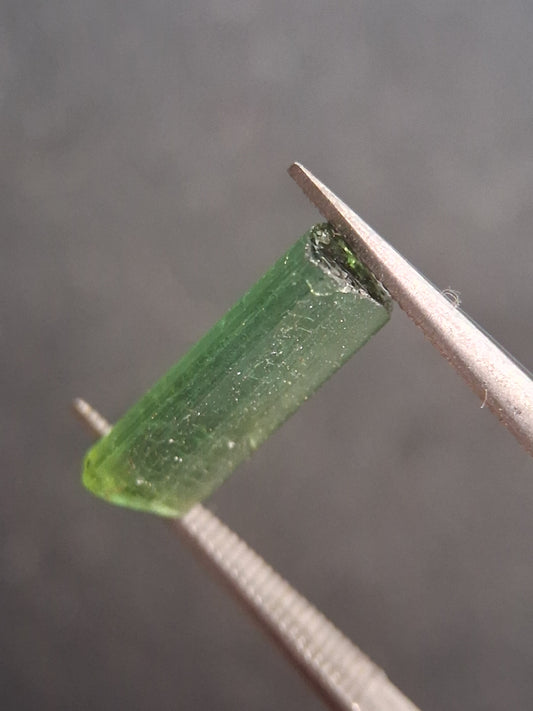 Rough tourmaline - for faceting or rough gemstone jewelry - 1.499 ct - Bright green - Natural Gems Belgium