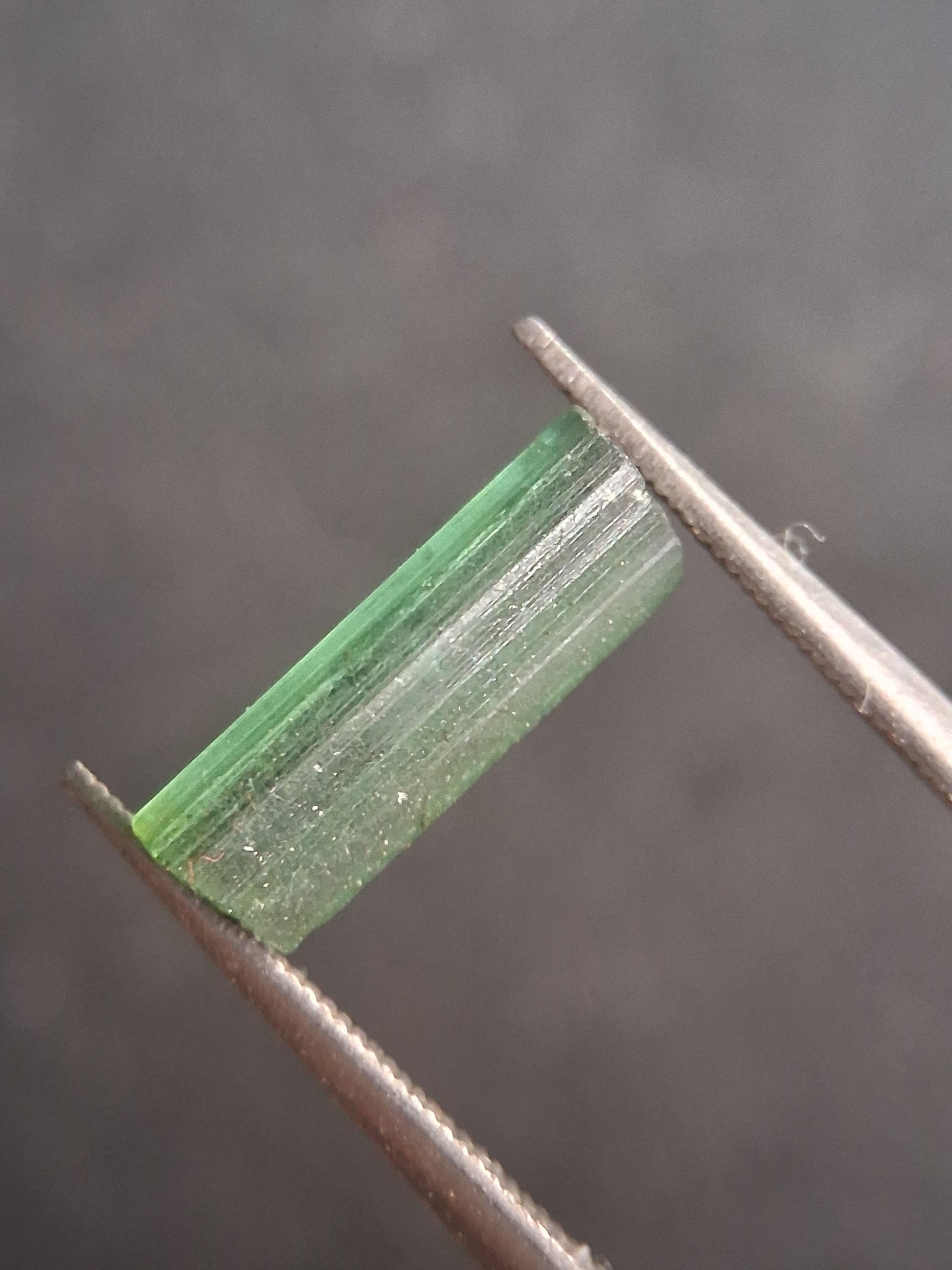 Rough tourmaline - for faceting or rough gemstone jewelry - 1.499 ct - Bright green - Natural Gems Belgium