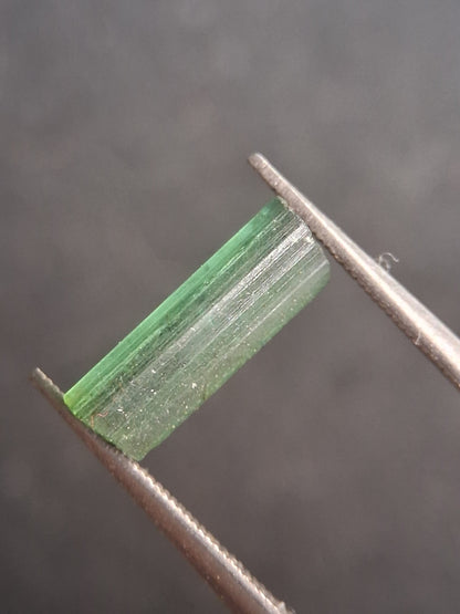 Rough tourmaline - for faceting or rough gemstone jewelry - 1.499 ct - Bright green - Natural Gems Belgium