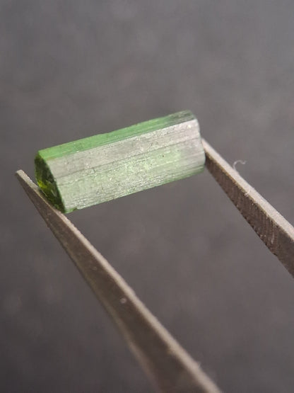 Rough tourmaline - for faceting or rough gemstone jewelry - 1.499 ct - Bright green - Natural Gems Belgium