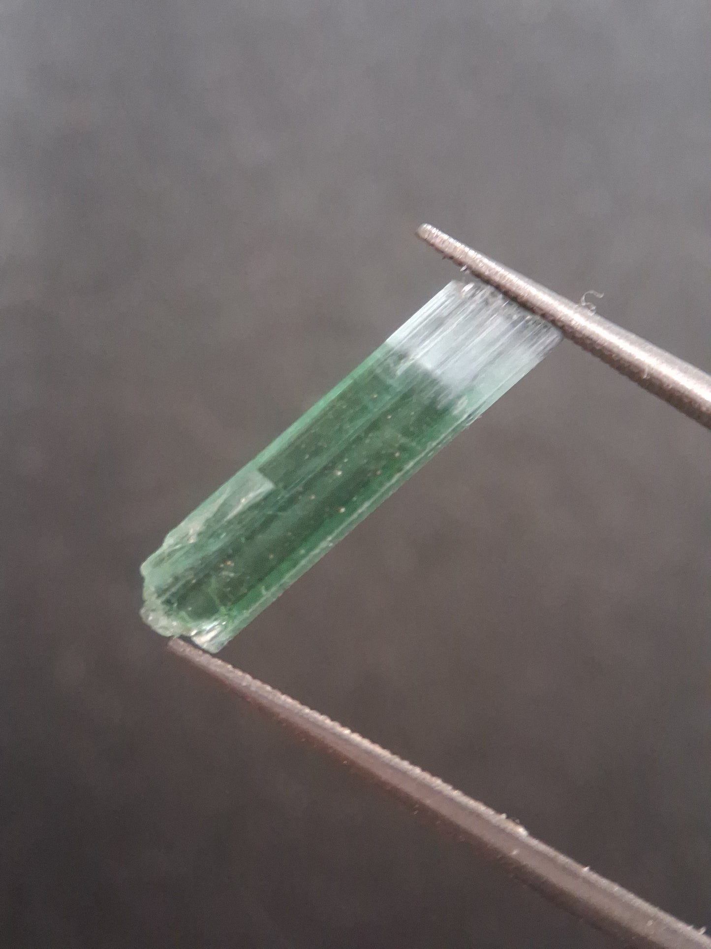 Rough tourmaline - for faceting or rough gemstone jewelry - 1.640 ct - bicolor - Natural Gems Belgium