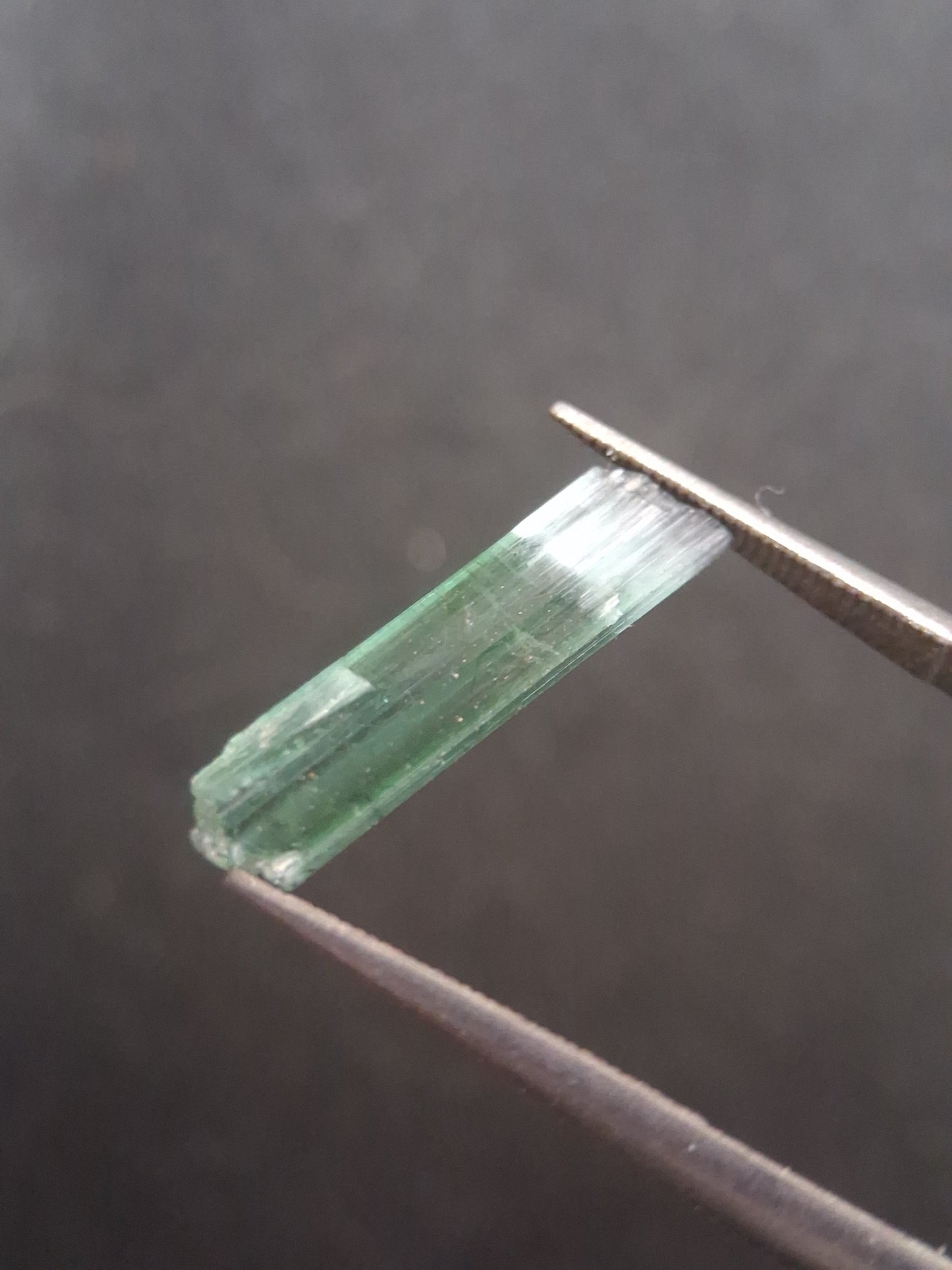 Rough tourmaline - for faceting or rough gemstone jewelry - 1.640 ct - bicolor - Natural Gems Belgium