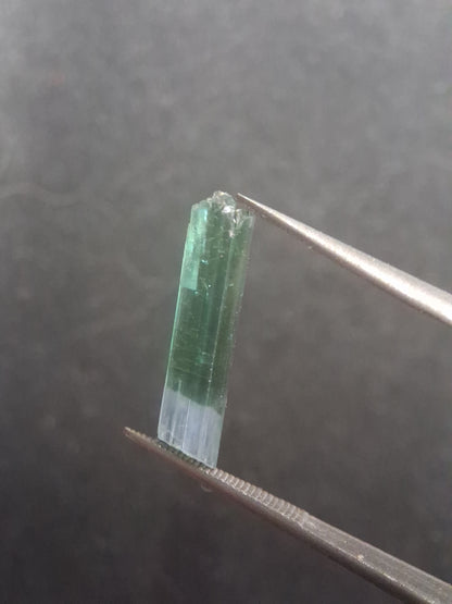 Rough tourmaline - for faceting or rough gemstone jewelry - 1.640 ct - bicolor - Natural Gems Belgium